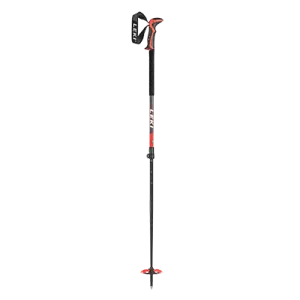 Backcountry Ski Pole Rental