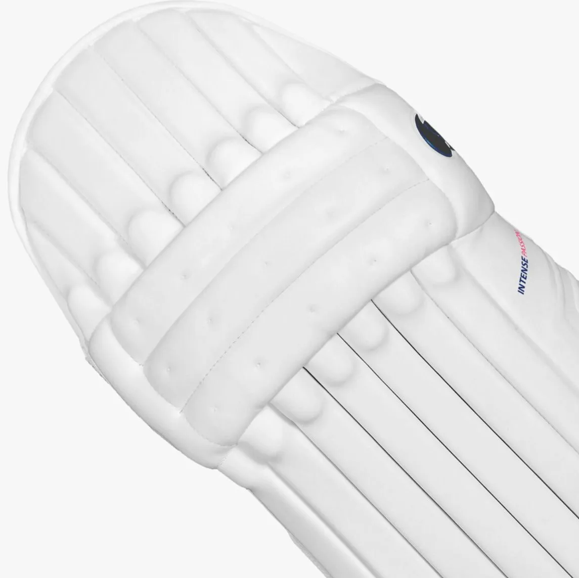 DSC Intense Passion Batting Pads