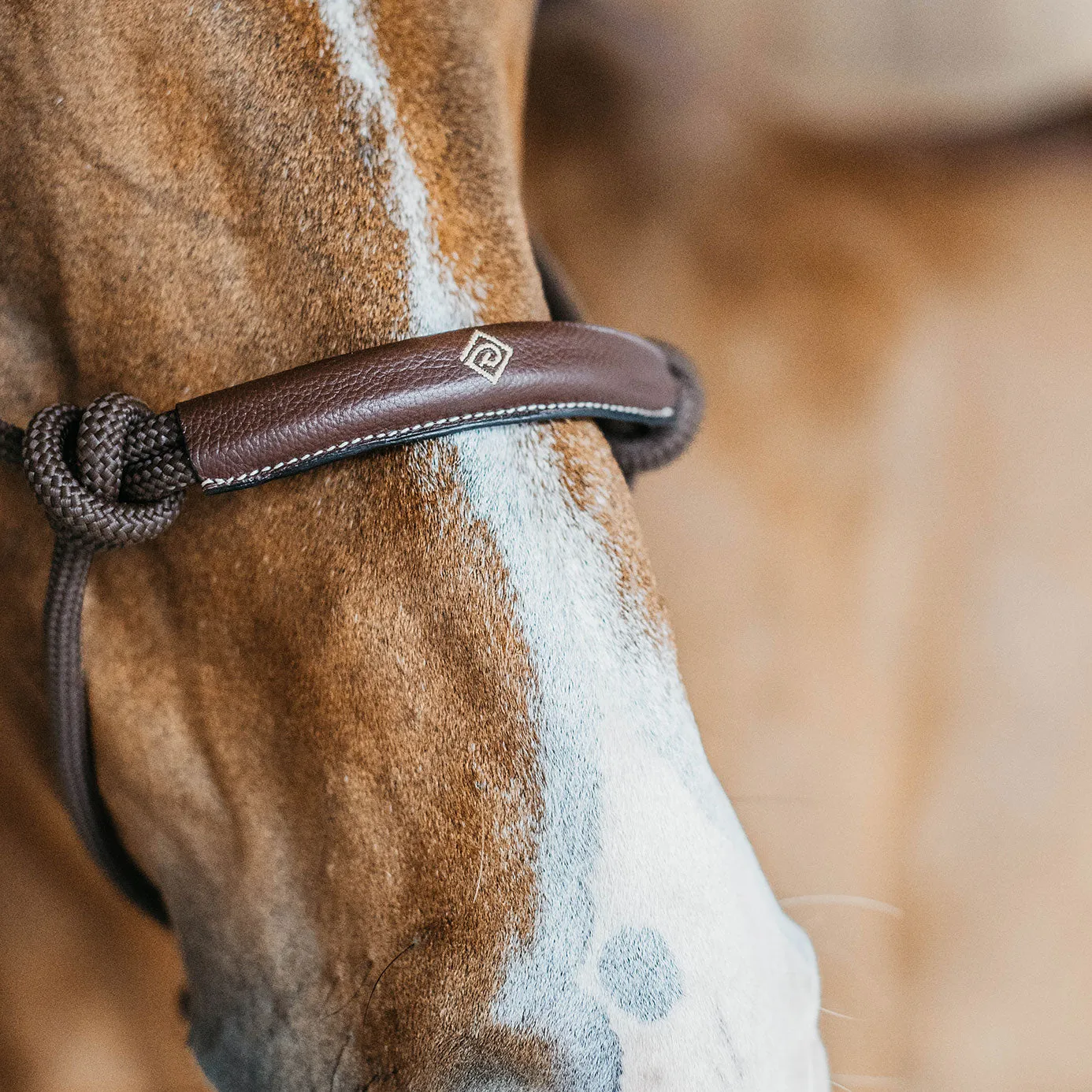 Dy'on Working Collection Training Halter - Brown