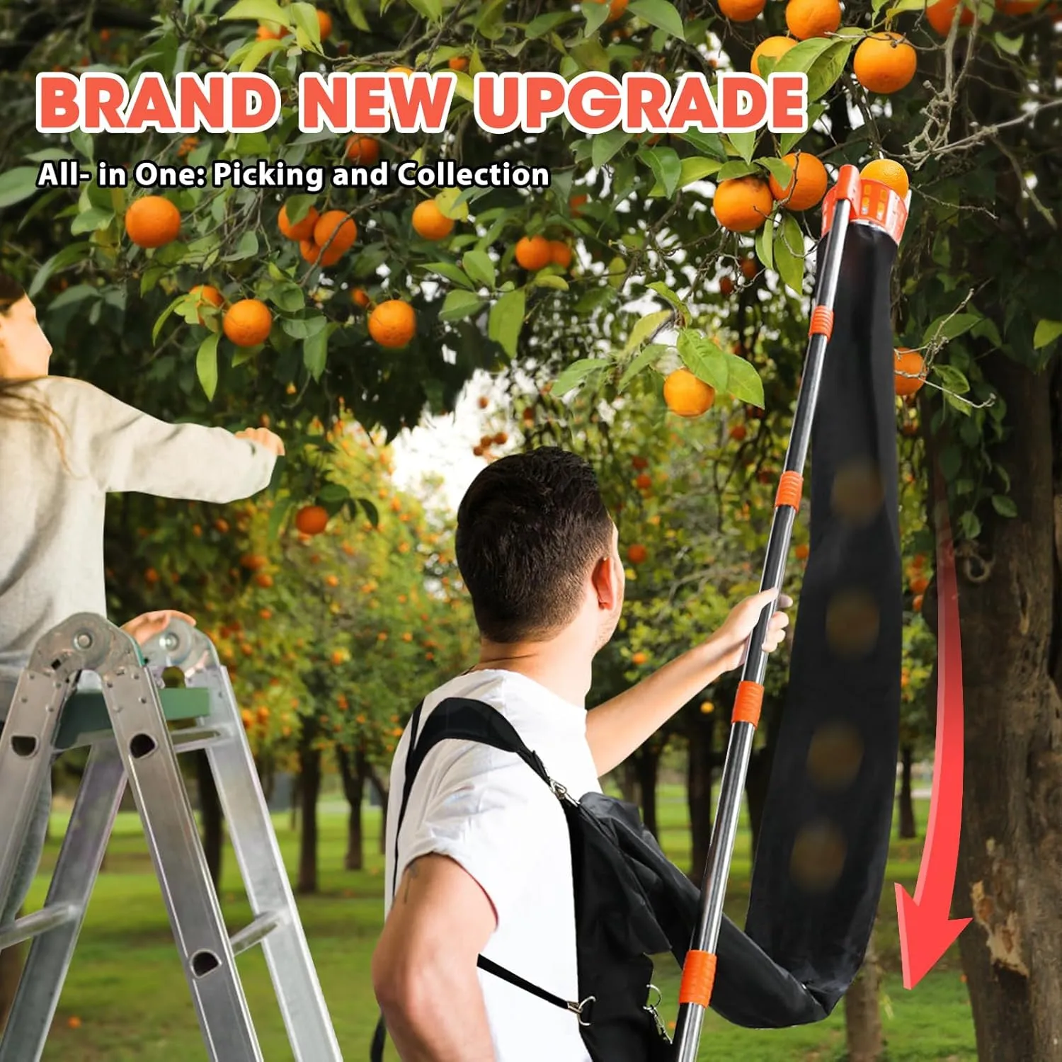 Fruit Picker Pole with Harvest Bag - Up to 13FT Adjustable