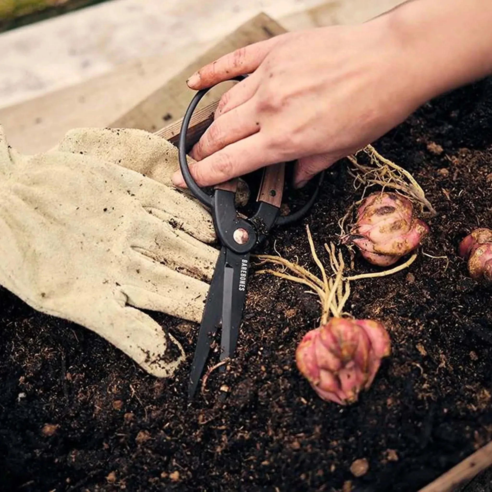 Garden Scissors