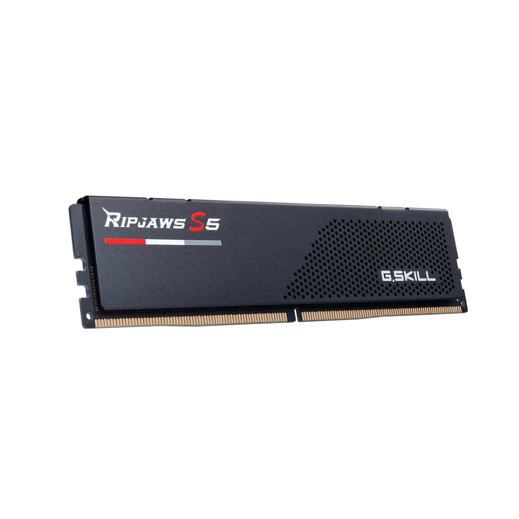 G.SKILL Ripjaws S5 16GB (1x16GB) 5200MHz DDR5 CL40 Single Memory Desktop Gaming RAM F5-5200J4040A16GX1-RS5K