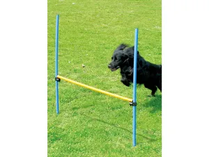 PAWISE  Agility Hurdle