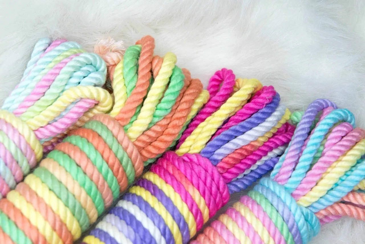 Pride Rainbow Bamboo Shibari Rope