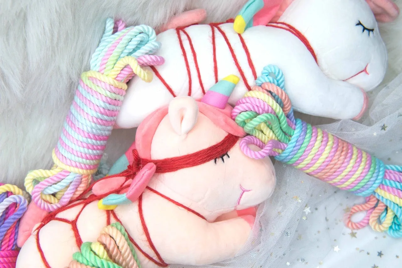 Pride Rainbow Bamboo Shibari Rope