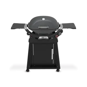 Weber - Q 2800N  Gas Grill with Premium Stand - Charcoal